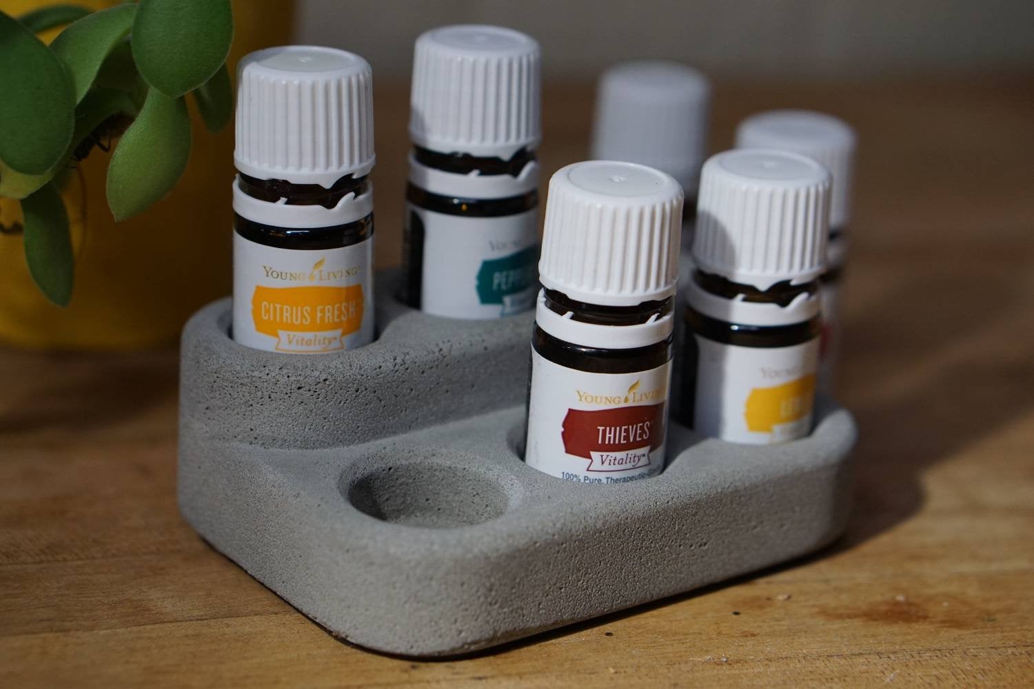 Concrete Esstianal Oil Display, Minimalist Oil Display, Natural/Earthy Essential Oil  Holder. Essential Oil cork Storage