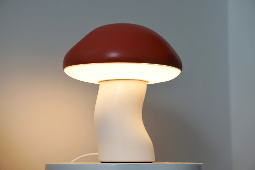 Mushroom Lamp- Nature inspired Light - Mushroom Desk Lamp- Minimal accent lamp -