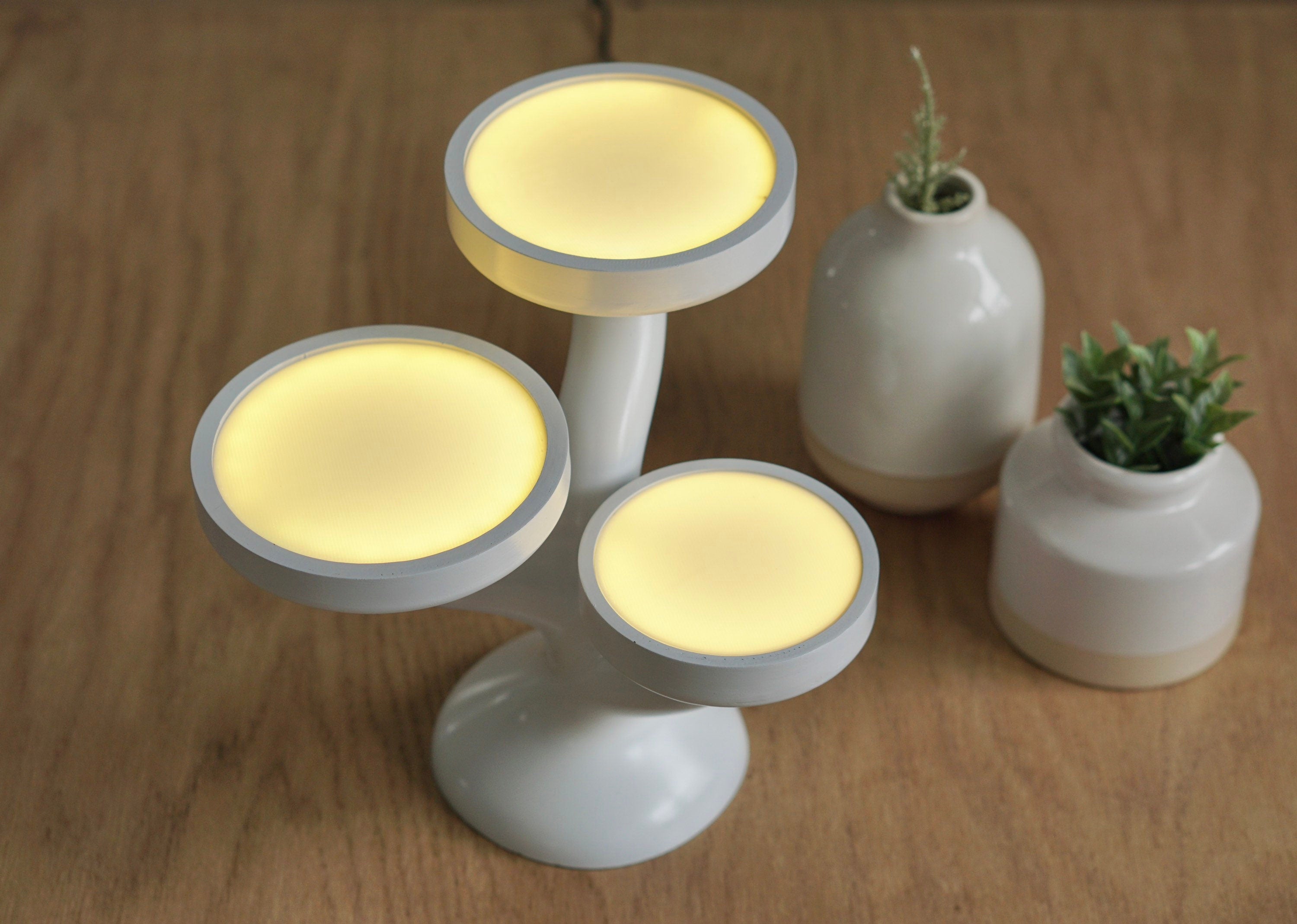 BRANCH - Organic Plant Inspired LED Lamp - Unique Accent Lamp - Mushroom Lamp -